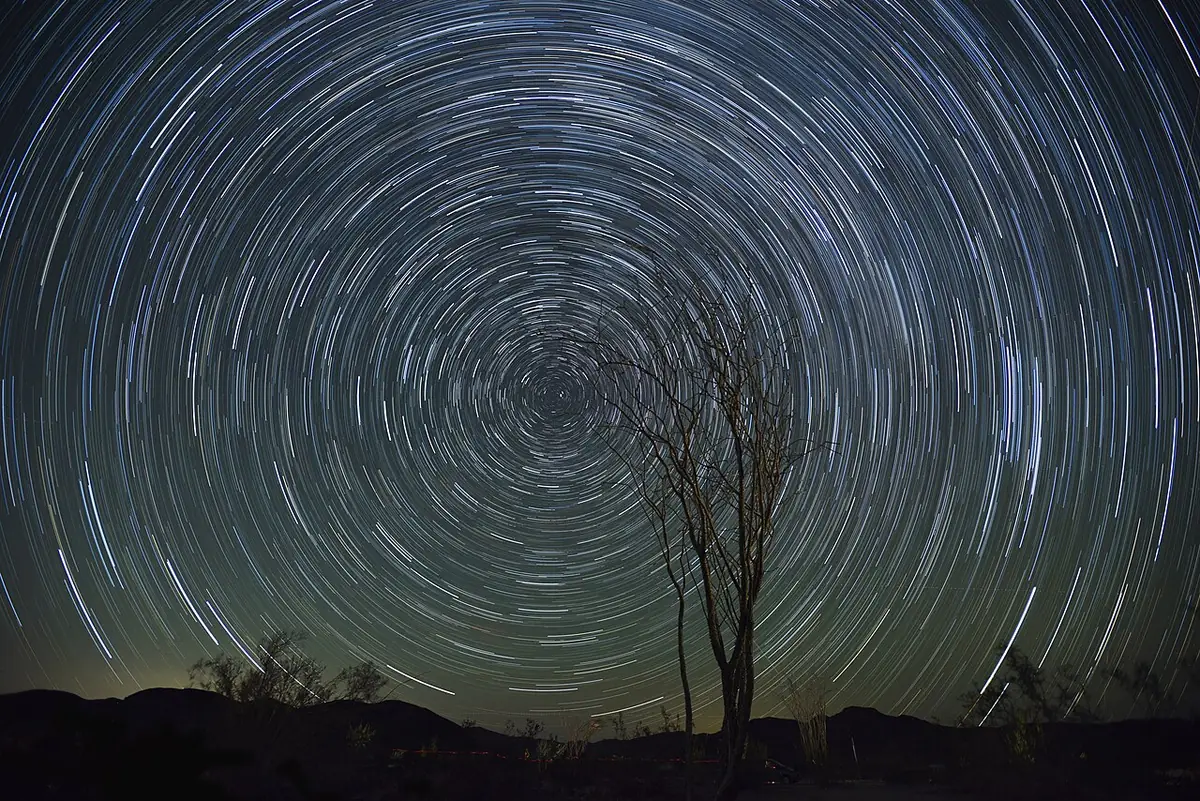 Circular star trails wheel around a point in a dark desert sky above a bare ocotillo in Joshua Tree National Park.